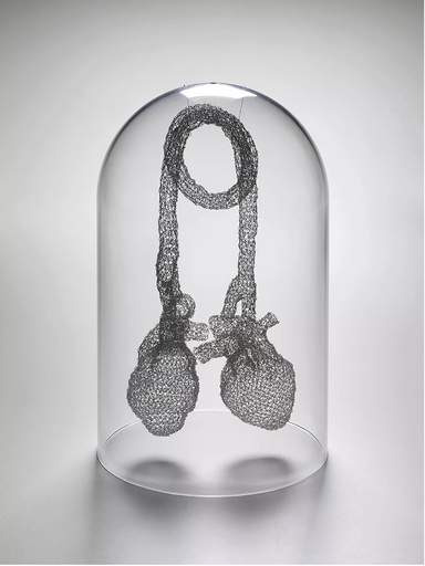 coil lungs in glass case